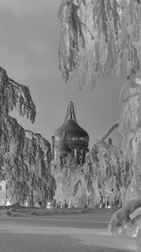 Szary + Negatyw
