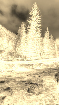 Sepia + Negatyw