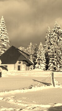 Szary + Sepia
