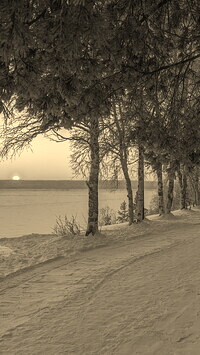 Szary + Sepia