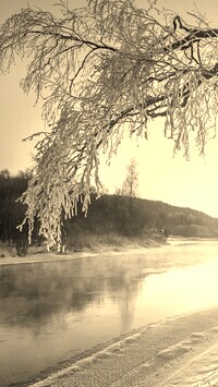 Szary + Sepia