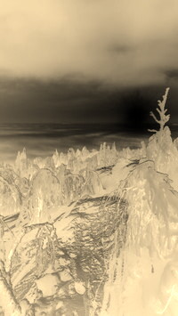 Sepia + Negatyw