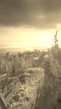 Sepia