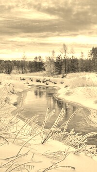 Sepia
