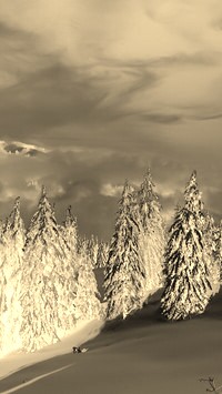 Sepia + Negatyw