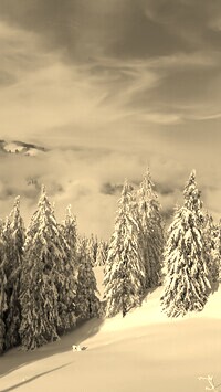 Szary + Sepia