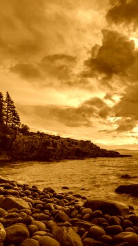 Sepia