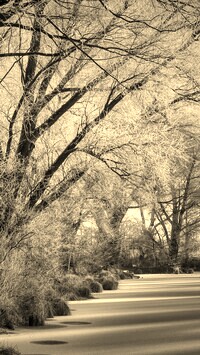 Szary + Sepia