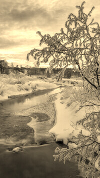 Szary + Sepia