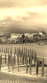 Szary + Sepia