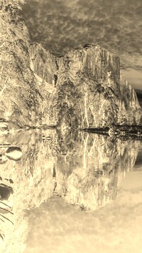 Sepia + Negatyw