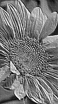 Skamielina