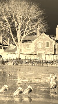Sepia + Negatyw
