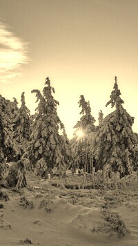 Szary + Sepia
