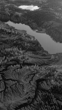 Szary