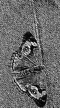 Skamielina