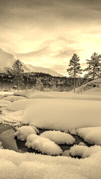 Sepia