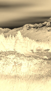 Sepia + Negatyw