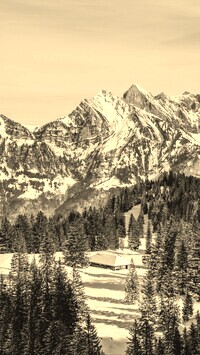 Szary + Sepia