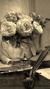 Szary + Sepia