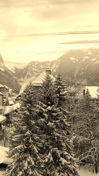 Szary + Sepia