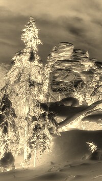 Sepia + Negatyw