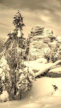 Szary + Sepia