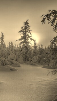 Szary + Sepia