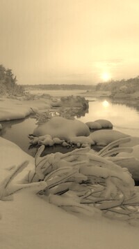 Szary + Sepia