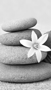 Szary