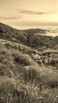 Sepia