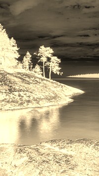 Sepia + Negatyw