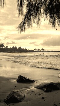 Sepia