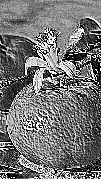 Skamielina