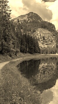 Szary + Sepia