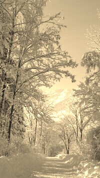 Szary + Sepia