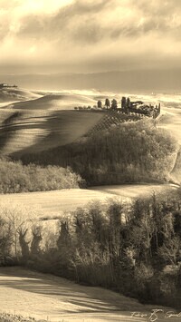 Szary + Sepia