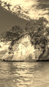 Szary + Sepia