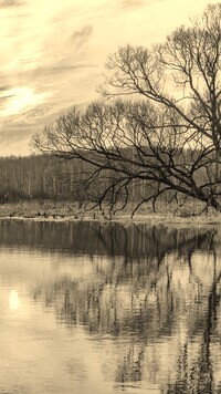 Sepia