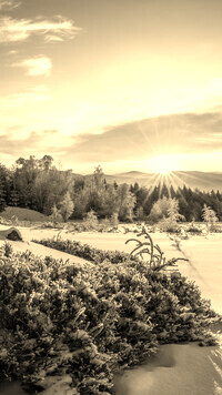 Sepia