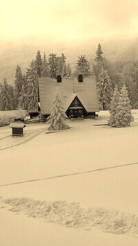 Szary + Sepia