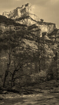 Szary + Sepia