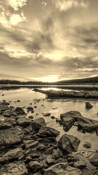 Sepia