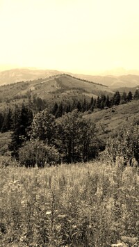 Szary + Sepia