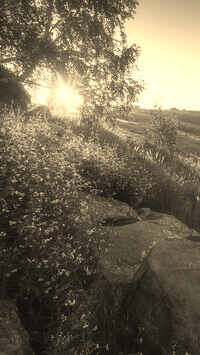 Szary + Sepia