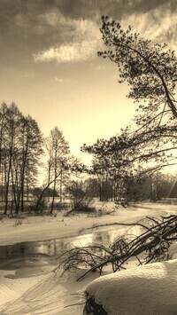 Szary + Sepia
