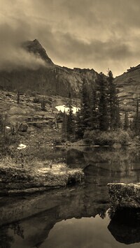 Sepia