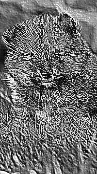Skamielina