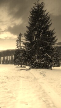 Sepia