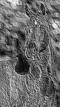 Skamielina